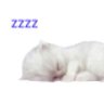 restwell profil fotoğrafı