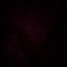 Profilbild von Paul
