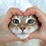 黄霖在家's profile picture