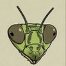 Profilbild von Mantis 🧊