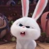 fia's profile picture