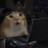 The Schmungus's profile picture
