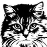 Profilbild von mila
