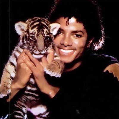luli 🎶 juridico buchinho do mj's profile picture