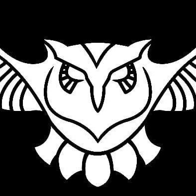 OWLSEsportsX's profile picture