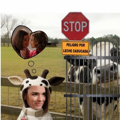 estela🧁's profile picture