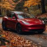 Фото профиля A Canadian Model Y
