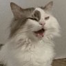 Profilbild von Daemoncheg