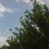 Фото профиля سمران الصالح