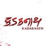 Kadaknath 的头像