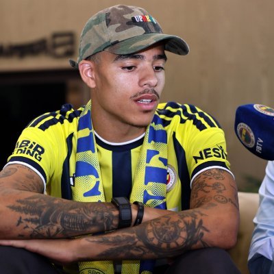 fenergozdee's profile picture