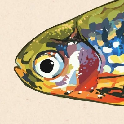 fisch 🎣's profile picture