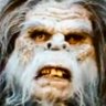 Profilbild von FLMongoman