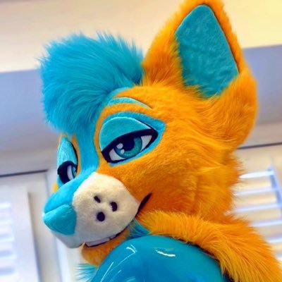 Riley Dog 🧡's profile picture