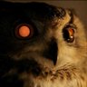 Replicante51's profile picture