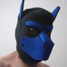 bluedoggoxxx 的头像