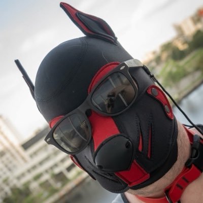 pup_raider1's profile picture