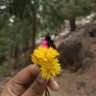 sara bhuva | poiesis profil fotoğrafı