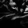 Profilbild von o Jota S