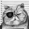 RebelCat profil fotoğrafı