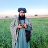 Фото профиля حسنمل افغان