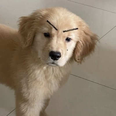 mahtochn's profile picture