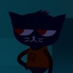 safepupp's profile picture
