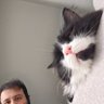 بن profil fotoğrafı