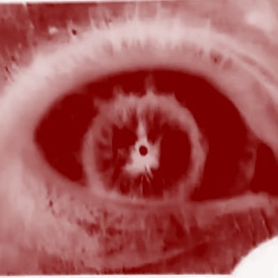 angelo malagueto's profile picture