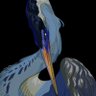 Profilbild von NYAMNAHA “GIRL-HERON” ✨