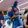 TexasRaptor @ MP's profile picture