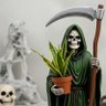 Grimm Gardener's profile picture