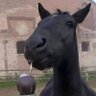 SexyBadhi's profile picture