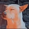 Profilbild von ReceiptSeason