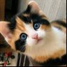 🇴🇲البروفيسورة🌹's profile picture