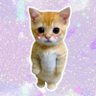 tiara tya's profile picture