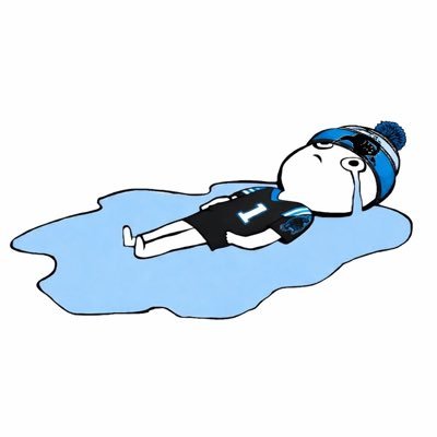 PanthersHighlts's profile picture