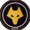Wolves France🇫🇷🇵🇸 profil fotoğrafı