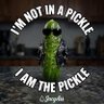 Pickle “Juicy Ass” McDreamy🟧's profile picture