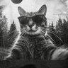 Arris๐'s profile picture
