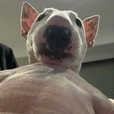 Gs8Pas's profile picture