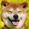 らたはた's profile picture