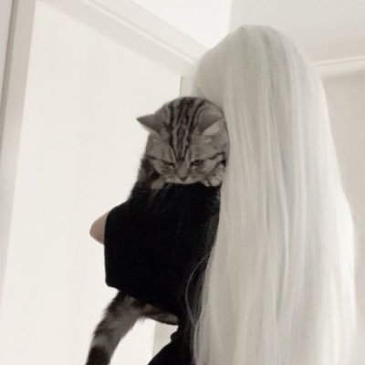 creamqies's profile picture