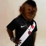 Profilbild von jef