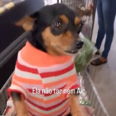 vayacondyos's profile picture