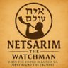 NatsarimTheWatchman profil fotoğrafı