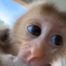 Newi York's profile picture