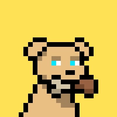 Shiba's profile picture