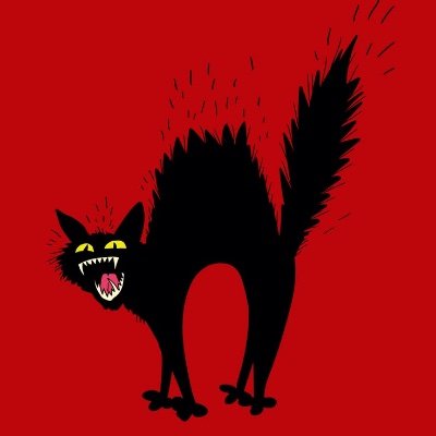 adriano's profile picture