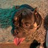 Darla Overholser's profile picture